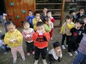 人气：495  上传时间：2019/11/8 16:24:23