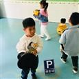 人气：456  上传时间：2019/11/8 16:43:18