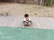 人气：464  上传时间：2019/11/8 8:27:03
