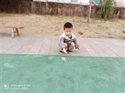 人气：451  上传时间：2019/11/8 8:27:06