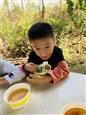 人气：518  上传时间：2019/11/8 10:40:41