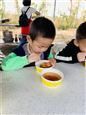 人气：473  上传时间：2019/11/8 10:40:46