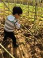 人气：482  上传时间：2019/11/8 10:41:52