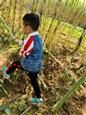 人气：488  上传时间：2019/11/8 10:41:53