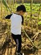 人气：502  上传时间：2019/11/8 10:41:54