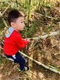 人气：468  上传时间：2019/11/8 10:41:59