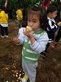 人气：502  上传时间：2019/11/14 13:32:46
