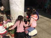 人气：486  上传时间：2019/11/14 14:48:06