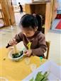 人气：520  上传时间：2019/11/14 12:30:31
