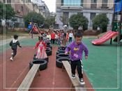 人气：495  上传时间：2019/11/15 13:51:21