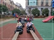 人气：426  上传时间：2019/11/15 13:51:25