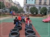 人气：437  上传时间：2019/11/15 13:51:29