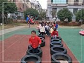 人气：464  上传时间：2019/11/15 13:51:31