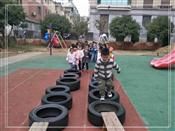 人气：480  上传时间：2019/11/15 13:51:34