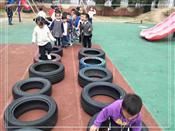 人气：486  上传时间：2019/11/15 13:51:35