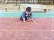 人气：493  上传时间：2019/11/15 14:04:58