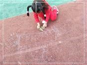 人气：479  上传时间：2019/11/15 14:05:15