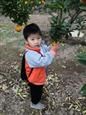 人气：508  上传时间：2019/11/15 16:29:44