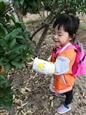 人气：499  上传时间：2019/11/15 16:29:44