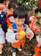 人气：505  上传时间：2019/11/15 16:29:46