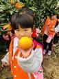 人气：545  上传时间：2019/11/15 16:29:46