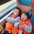 人气：513  上传时间：2019/11/15 16:32:46