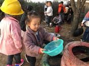 人气：429  上传时间：2019/11/21 13:52:46