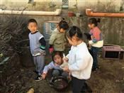 人气：485  上传时间：2019/11/21 13:52:47