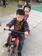 人气：527  上传时间：2019/11/22 13:37:05