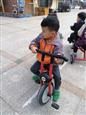 人气：533  上传时间：2019/11/22 13:37:05