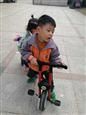 人气：544  上传时间：2019/11/22 13:37:06