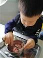 人气：505  上传时间：2019/11/22 13:41:14