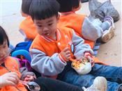 人气：573  上传时间：2019/11/22 16:26:16