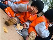 人气：584  上传时间：2019/11/22 16:26:20