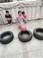 人气：482  上传时间：2019/11/22 12:43:35