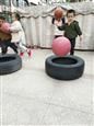 人气：497  上传时间：2019/11/22 12:43:38