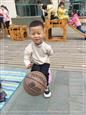 人气：501  上传时间：2019/11/22 12:50:15