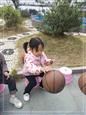人气：480  上传时间：2019/11/22 12:50:23