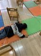 人气：464  上传时间：2019/11/29 11:16:05