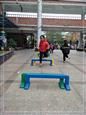 人气：490  上传时间：2019/11/29 11:37:32