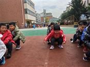 人气：435  上传时间：2019/12/5 13:36:51