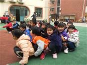 人气：469  上传时间：2019/12/5 13:36:53