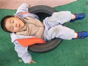 人气：498  上传时间：2019/12/5 12:27:58