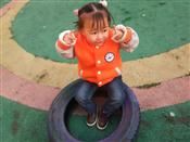人气：477  上传时间：2019/12/5 12:28:07