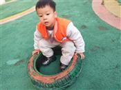 人气：505  上传时间：2019/12/5 12:28:10