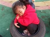 人气：505  上传时间：2019/12/5 12:28:14