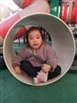 人气：482  上传时间：2019/12/5 12:34:43
