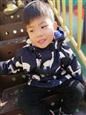 人气：517  上传时间：2019/12/6 16:31:38