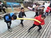 人气：479  上传时间：2019/12/6 11:54:07