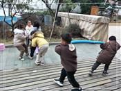 人气：501  上传时间：2019/12/6 11:54:23